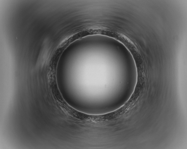 X0000116390775200912091434