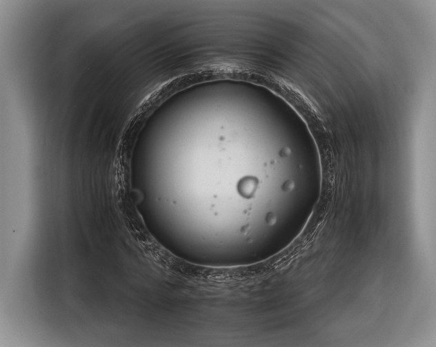X0000116390776200912091434