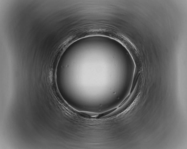 X0000116390777200912091434