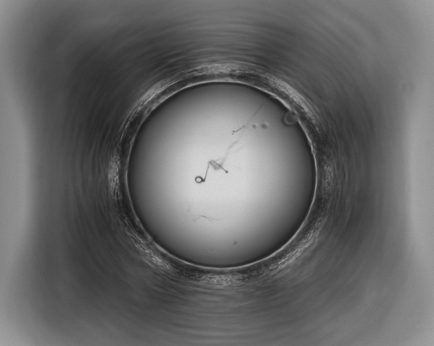 X0000116390778200912091434