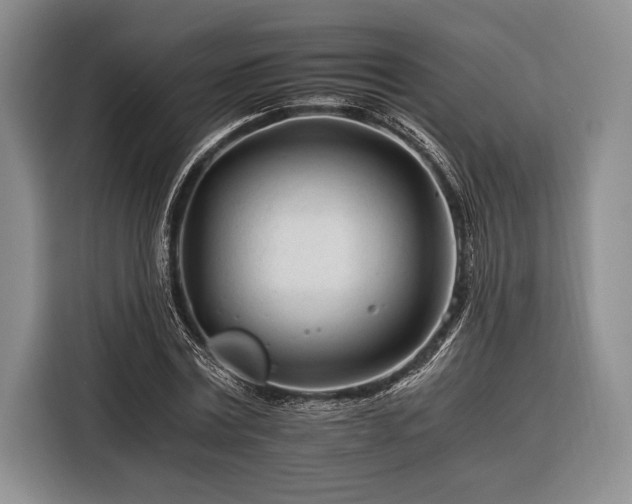 X0000116390779200912091434