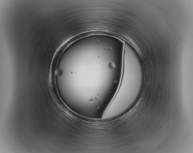 X0000116390780200912091434
