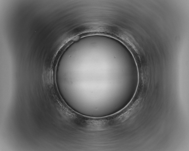 X0000116390781200912091434