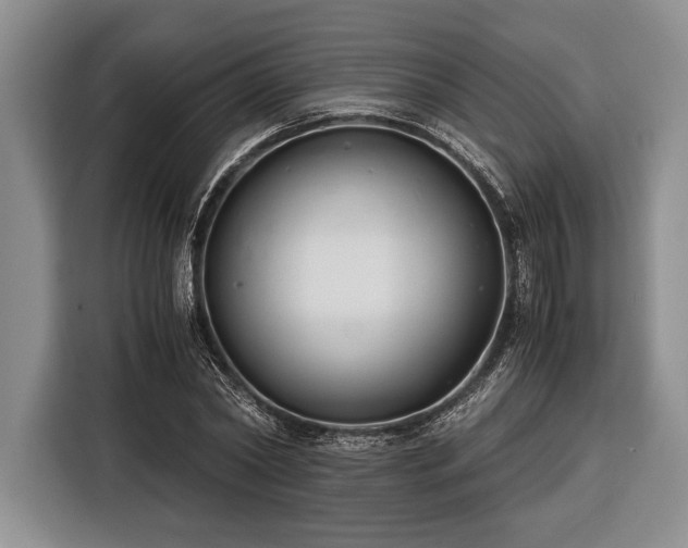 X0000116390782200912091434