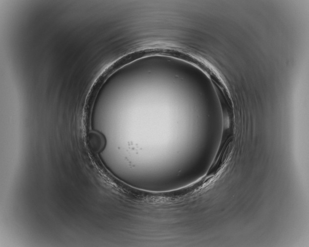 X0000116390783200912091434