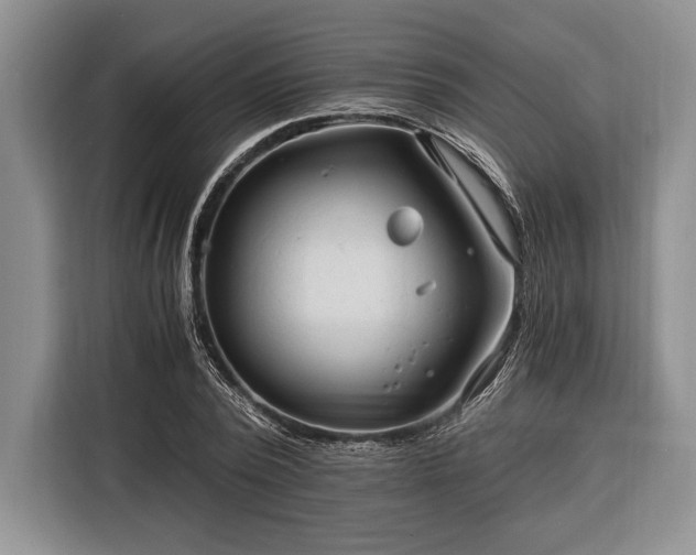 X0000116390784200912091434