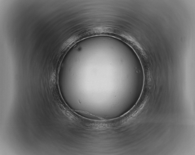 X0000116390785200912091434