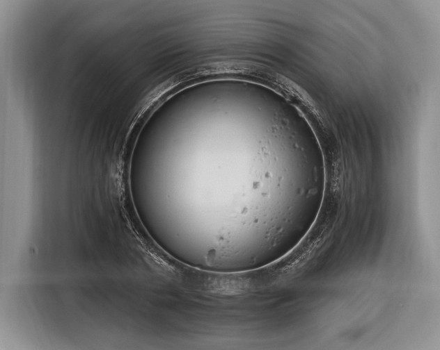 X0000116390786200912091434