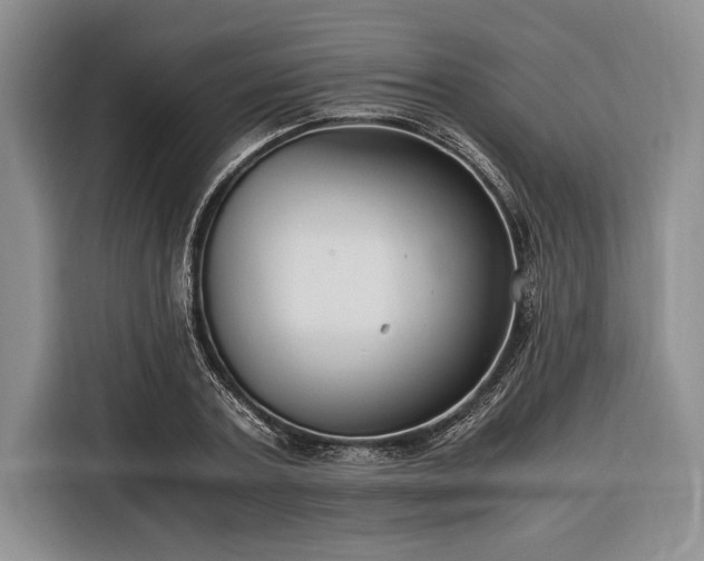 X0000116390787200912091433