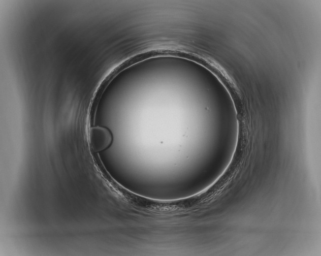 X0000116390791200912091433
