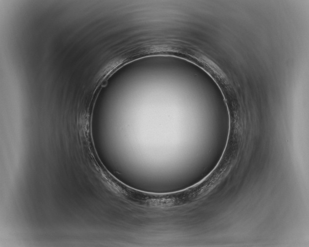 X0000116390793200912091433