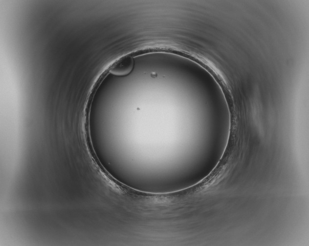 X0000116390799200912091433