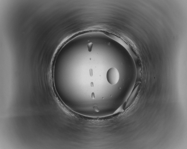 X0000116390800200912091433