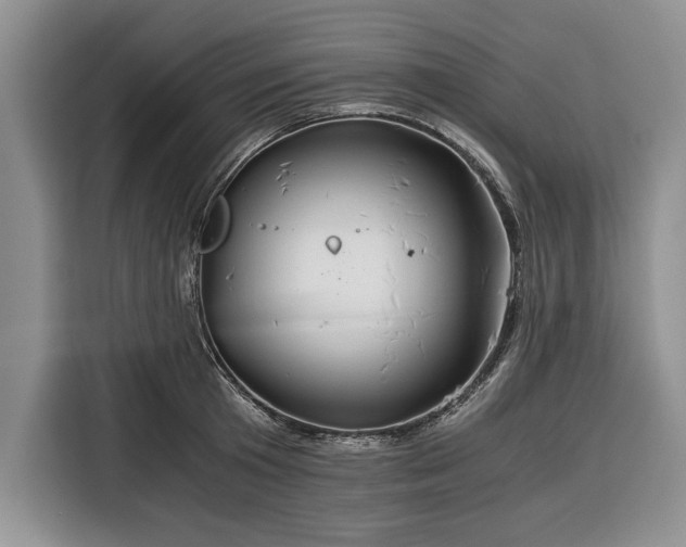 X0000116390801200912091433