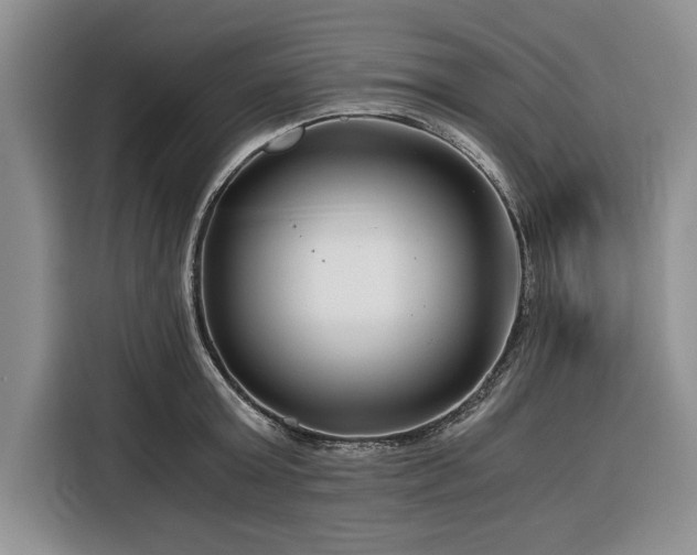 X0000116390803200912091433