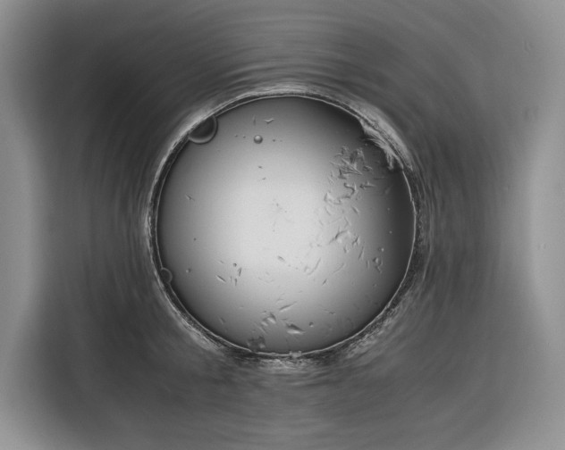 X0000116390805200912091433
