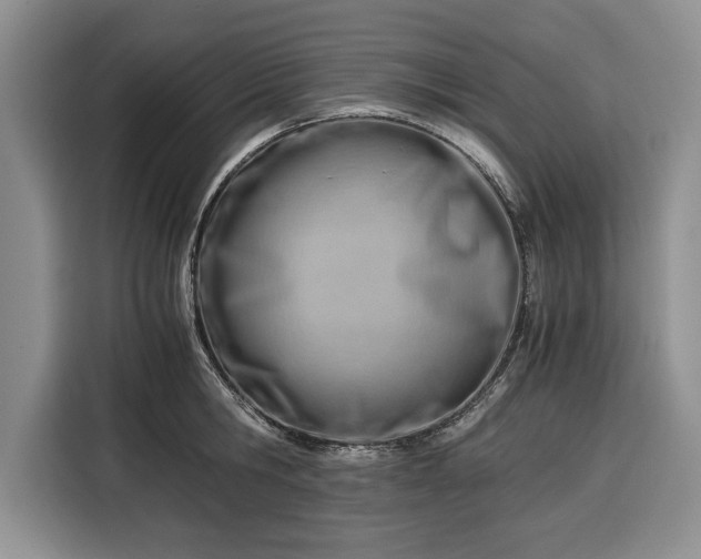 X0000116390806200912091433