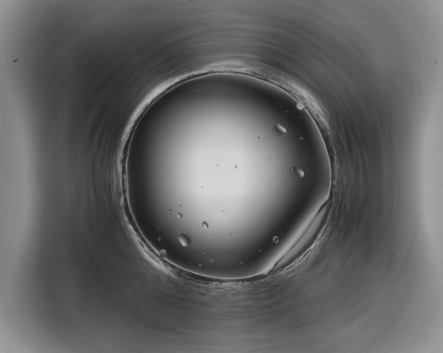 X0000116390808200912091433