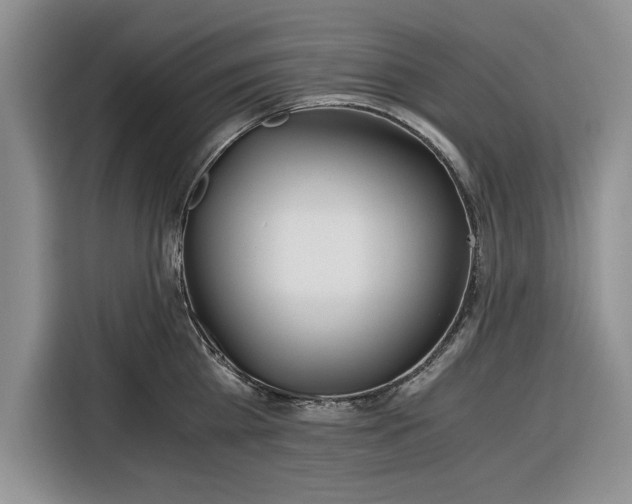 X0000116390809200912091433