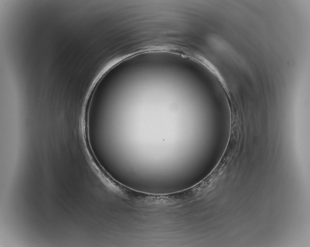 X0000116390811200912091433