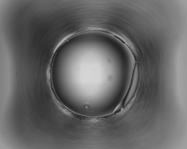 X0000116390814200912091433