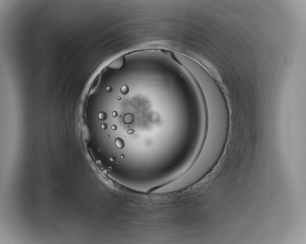 X0000116390816200912091433