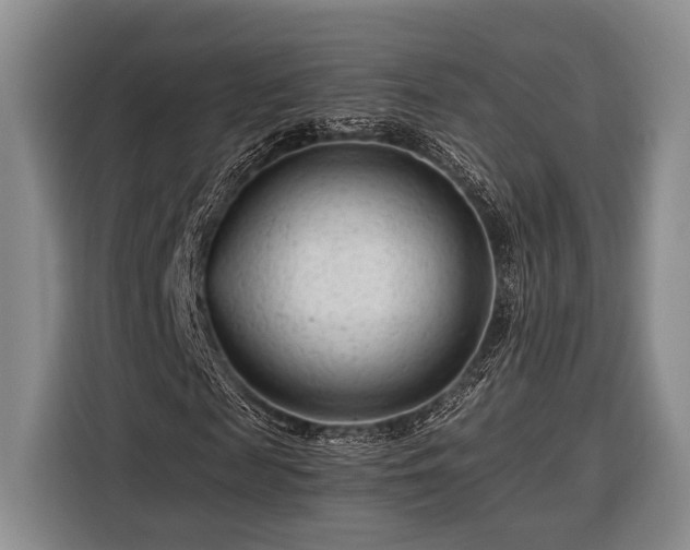 X0000116390817200912091432