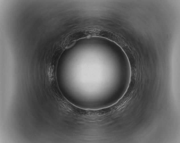 X0000116390818200912091433