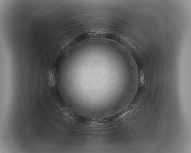 X0000116390819200912091433
