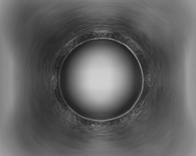 X0000116390821200912091433