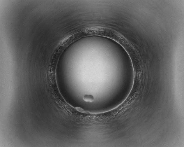 X0000116390822200912091433