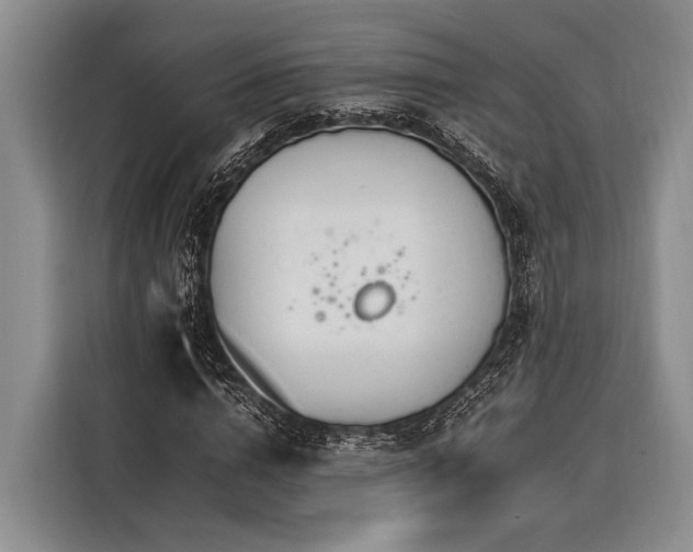 X0000116390824200912091433
