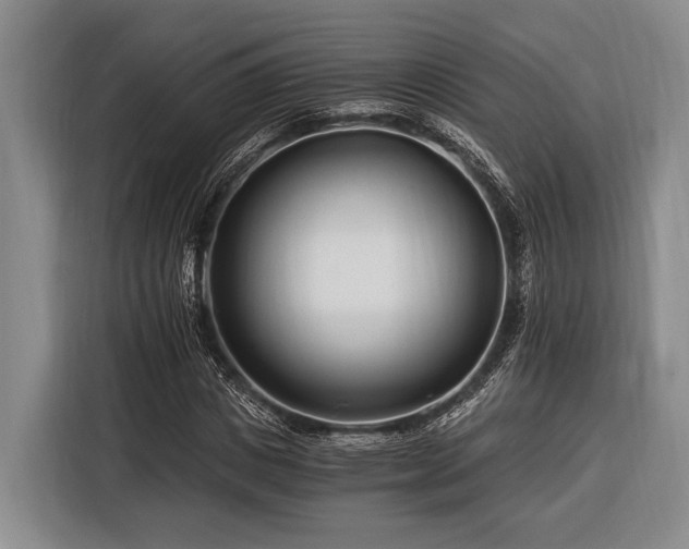 X0000116390825200912091433