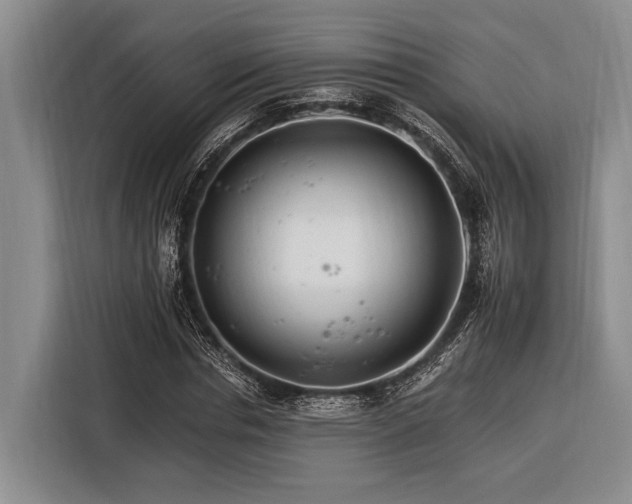 X0000116390826200912091433