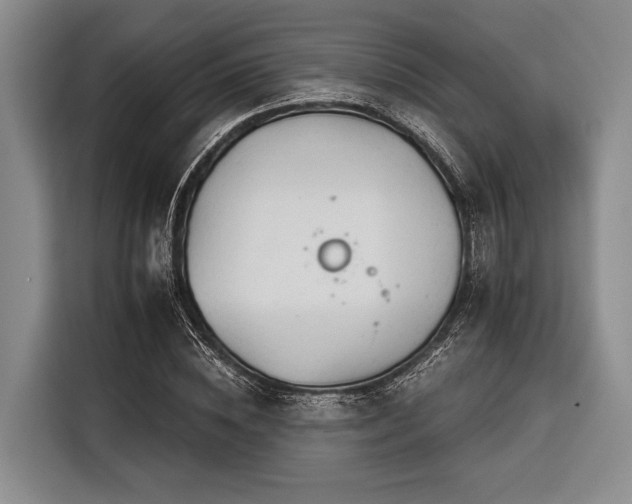 X0000116390828200912091433