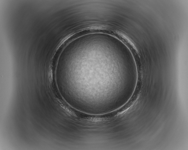 X0000116390829200912091433