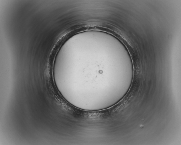 X0000116390832200912091433
