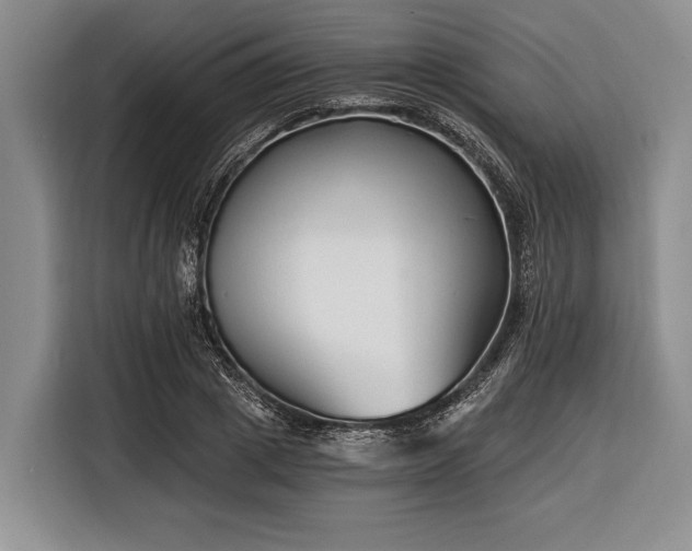 X0000116390833200912091433