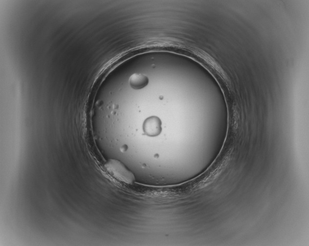 X0000116390834200912091433