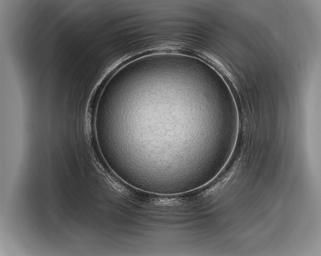 X0000116390835200912091433