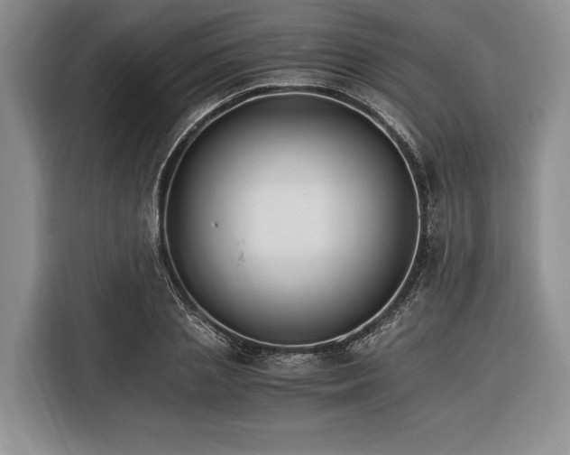 X0000116390837200912091433