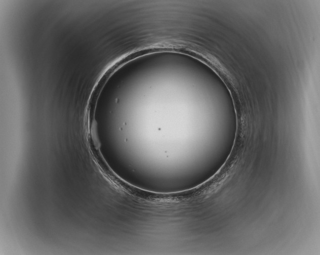 X0000116390838200912091433