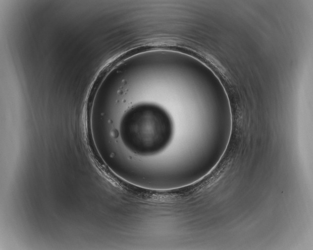 X0000116390840200912091433