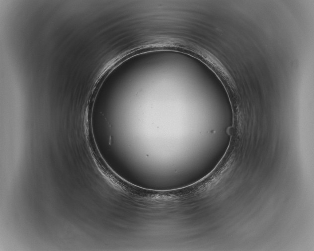 X0000116390842200912091433