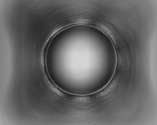 X0000116390843200912091433