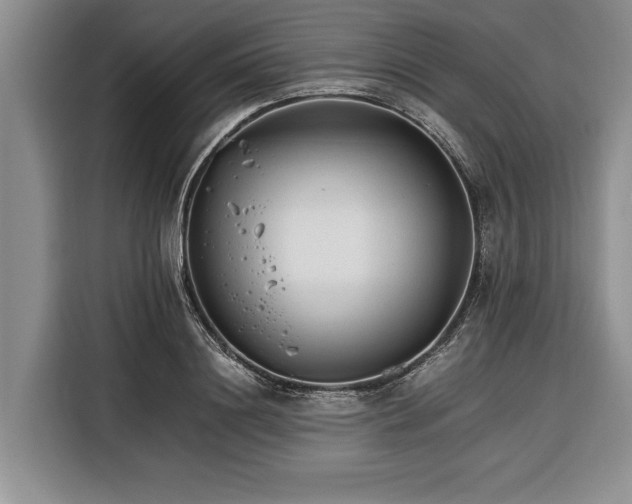 X0000116390844200912091433