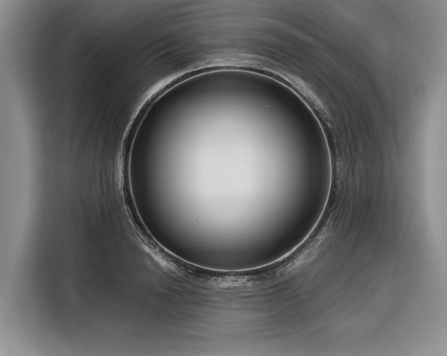 X0000116390846200912091433