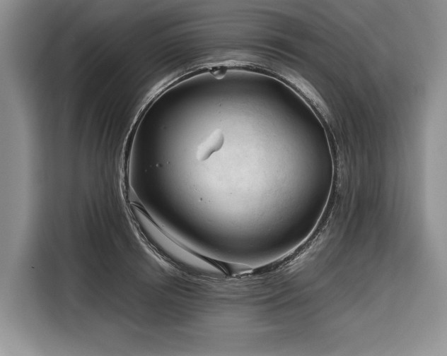 X0000116390850200912091433
