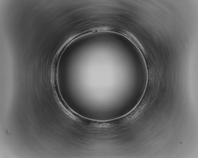 X0000116390851200912091433