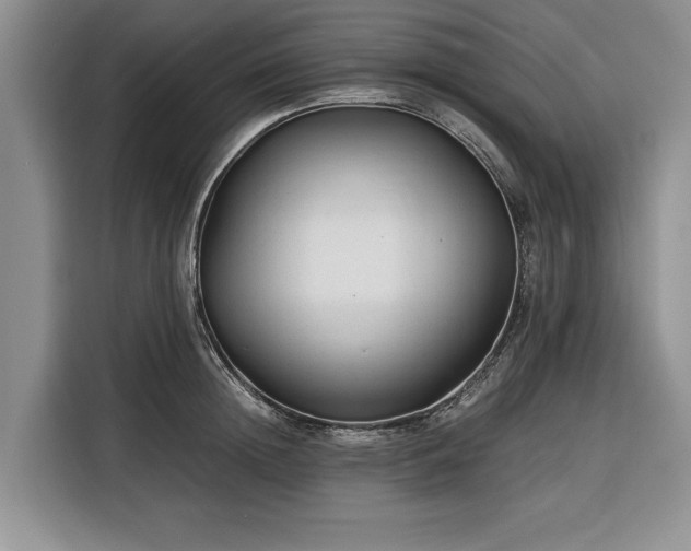 X0000116390852200912091433